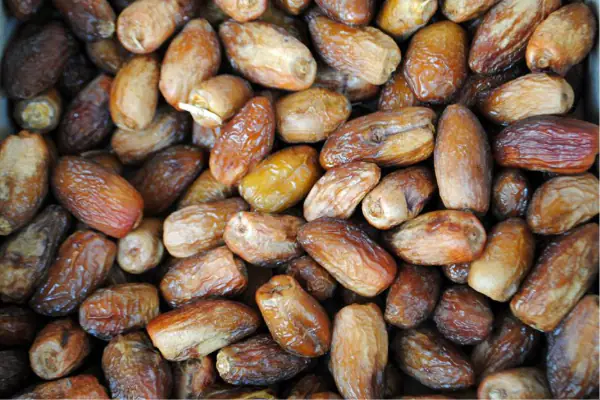  سوق التمور في الشارقة