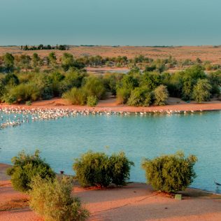 Alqudra lakes