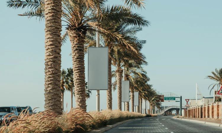 Palm tree boulevard with blank white billboards along the urban street road
